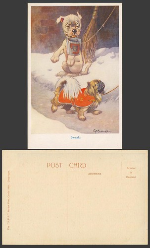 Bonzo dog yorkshire - dog, terrier