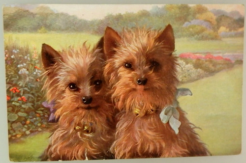 Cartolina artistica tema cani