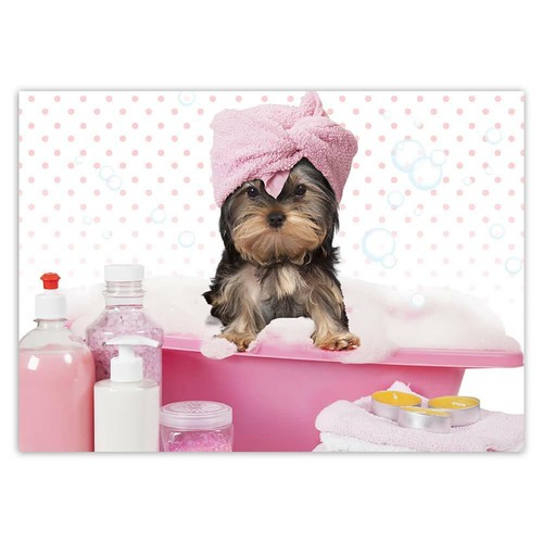 Adesivo regalo yorkshire spa - regalo:,