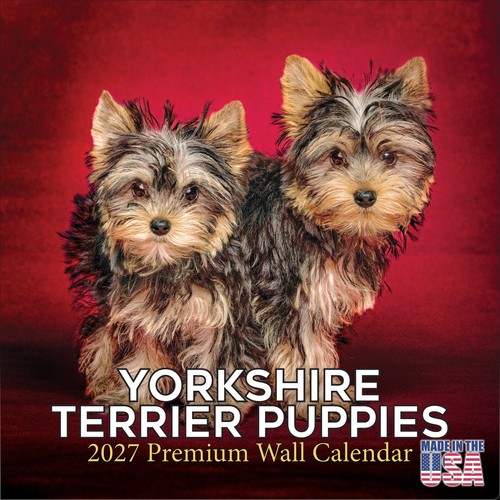 Calendario parete yorkshire - calendario, da