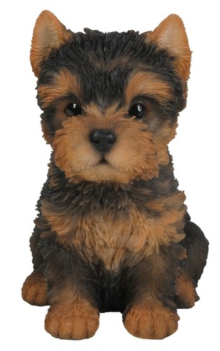 Vivid arts yorkshire terrier - yorkshire,