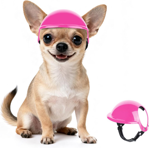 Casco per cani piccola - per,
