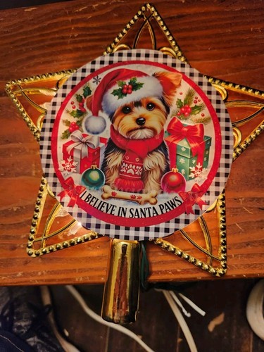 Yorkie cane yorkshire terrier - cane,