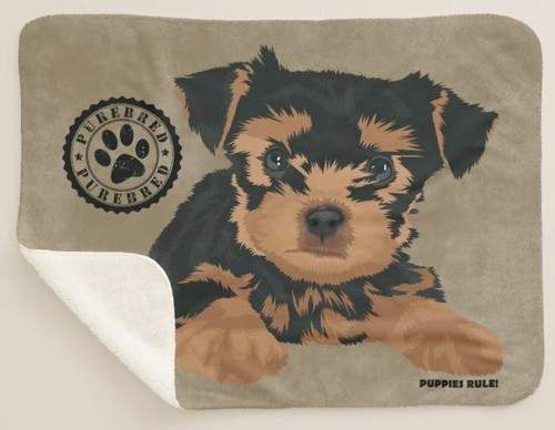 Cuccioli rule yorkshire - cuccioli,