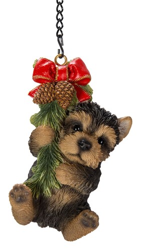 Yorkshire terrier cucciolo - yorkshire,