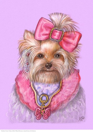 Yorkshire terrier yorkie - terrier, in