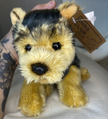 Peluche anna club yorkshire - club,