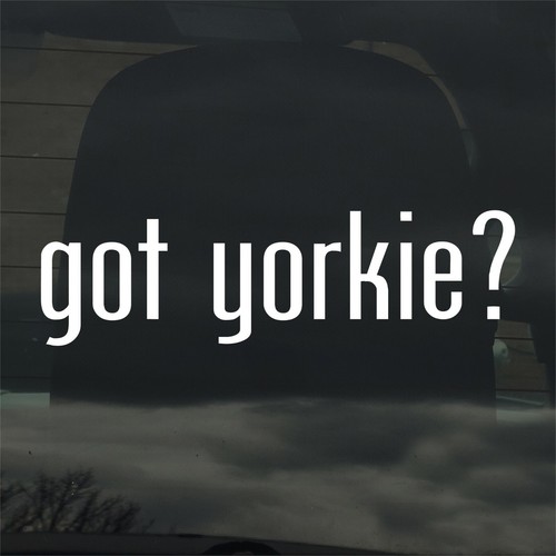 Got yorkie adesivo - got, yorkie?