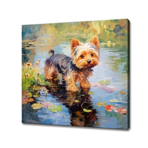 Yorkshire terrier cane - yorkshire,