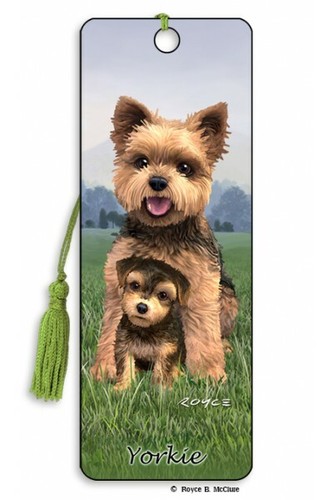 Yorkie yorkshire terrier small - terrier,