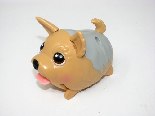 Cuccioli paffuti amici - cuccioli,