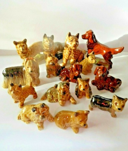 Wade cani cuccioli - wade,