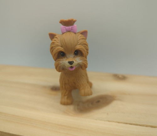 Barbie brown yorkie - yorkie, yorkshire