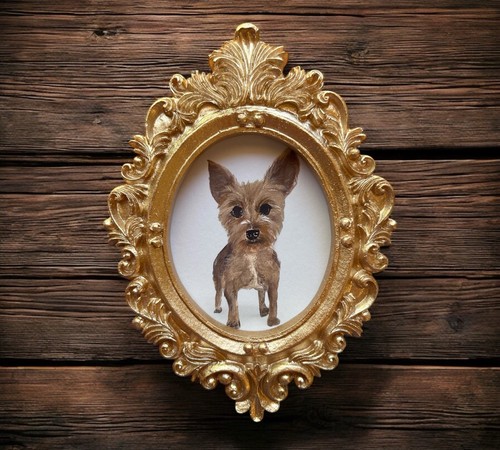 Yorkie mini ritratto cane