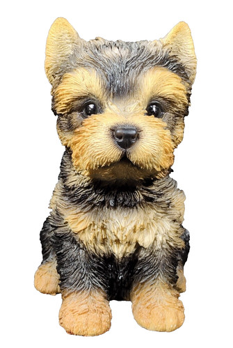 Hotant yorkshire terrier puppy - hotant,