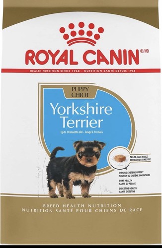 Yorkshire terrier cibo secco - yorkshire,