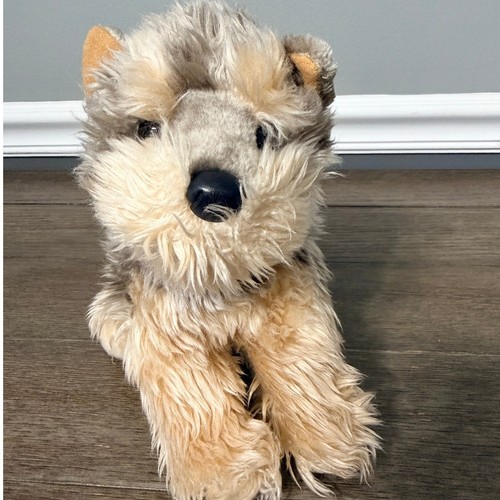 Yorkshire terrier yorkie cane - yorkshire,