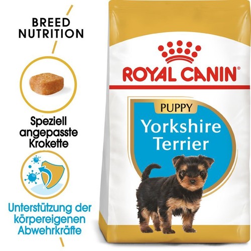 Royal canin yorkshire terrier - royal,