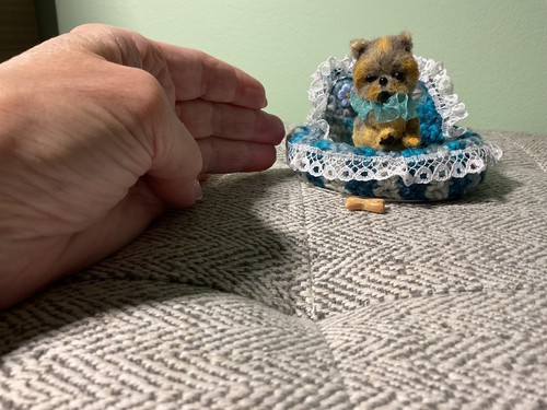 Miniatura yorkshire terrier - yorkshire,