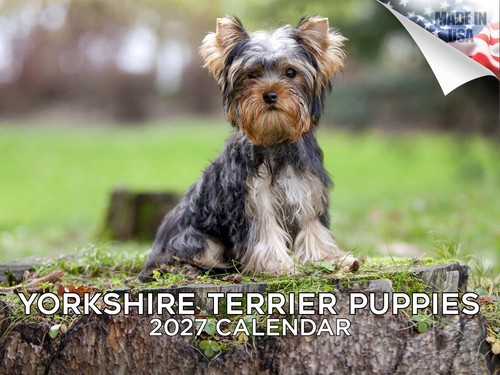 Yorkshire terrier cups 2027 - yorkshire,