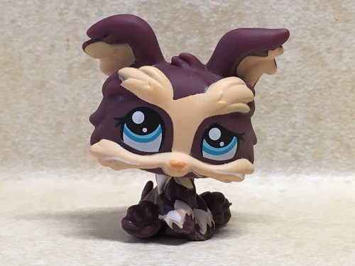 Littlest pet shop - pet,