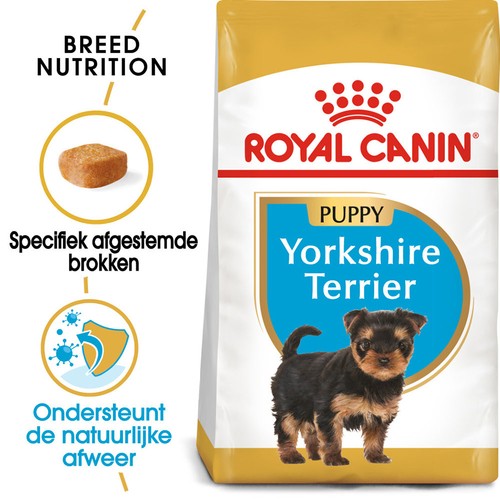 Royal canin yorkshire - royal, terrier