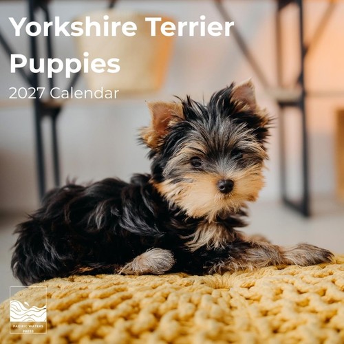 Cuccioli yorkshire terrier - -,